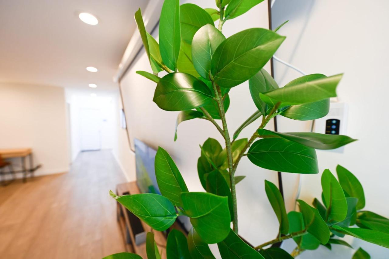 @ Marbella Lane - Exquisite Home 3Br Sunnyvale Eksteriør billede